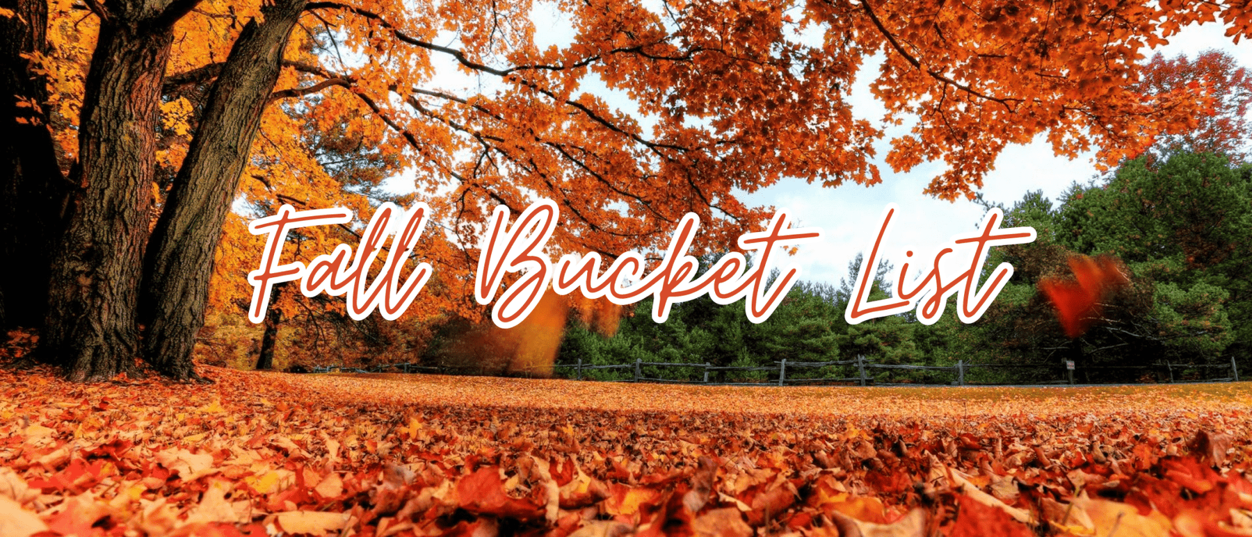 From Hayrides to Happy Hours: Your Fall Bucket List Starts Here! - The Cottage