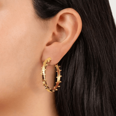 Anabel Aram Milos Gold Medium Hoops Earrings - Anabel Aram Jewelry