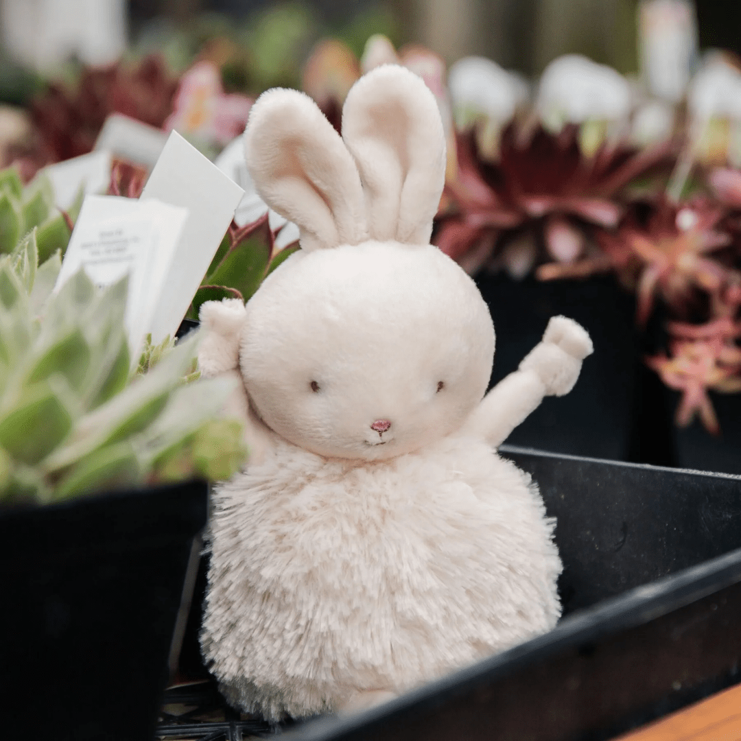 Bunnies by the Bay Roly Poly Rutabaga - Bunnies By The Bay