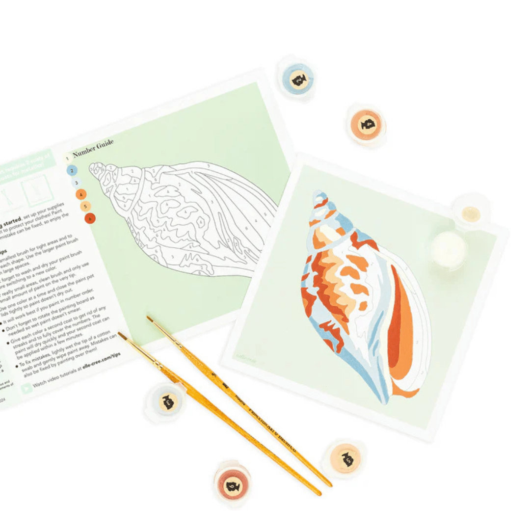 Elle Crée Mini Paint By Numbers Kit - Voluta Shell - Elle Cree (She Creates)