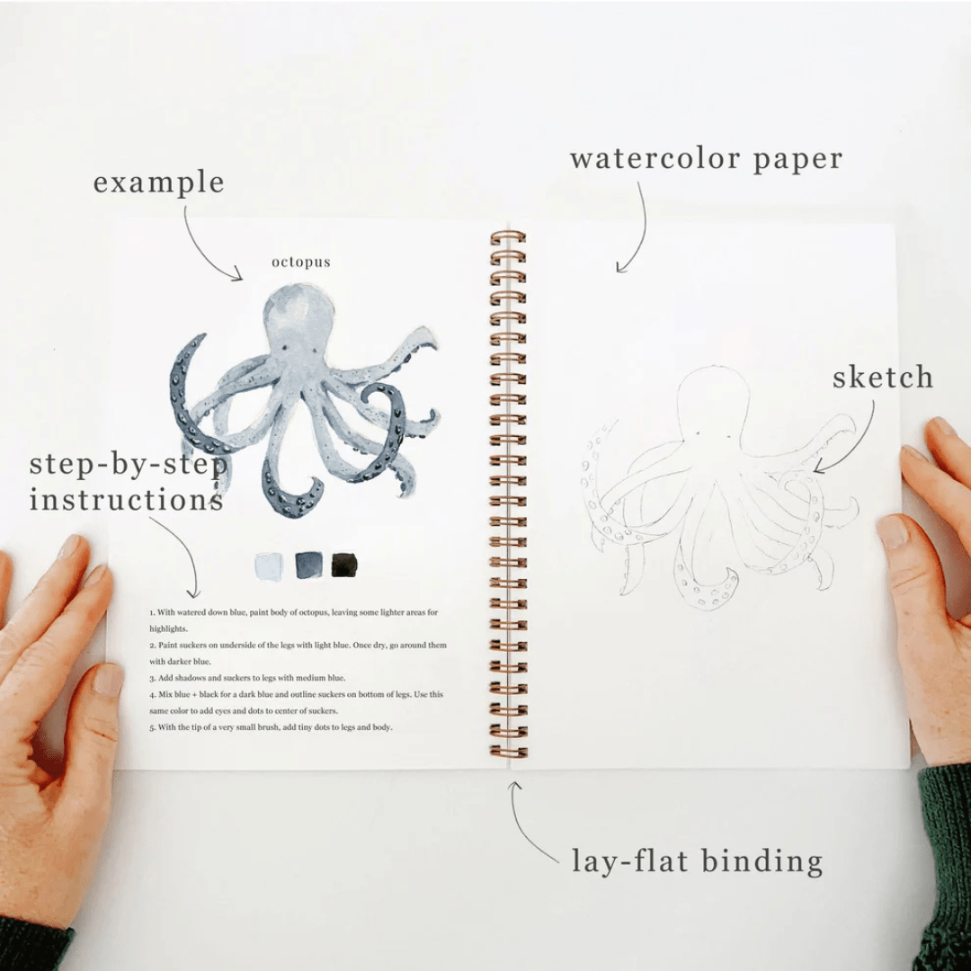 Emily Lex Studio Seaside Watercolor Workbook + Paint - emily lex studio