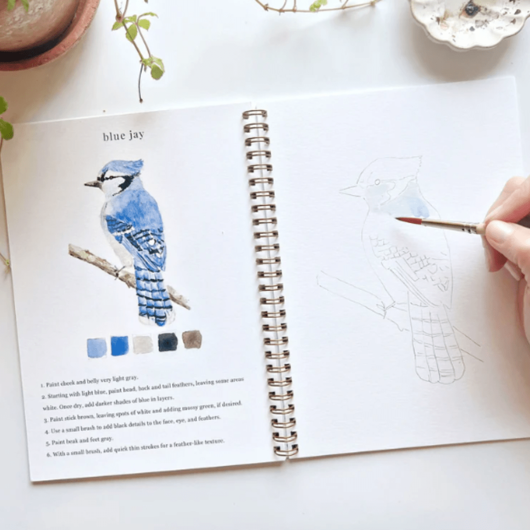 Emily Lex Studios Birds Watercolor Workbook w/ Paint - emily lex studio