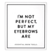 Eyebrow Book Box - I'm Not Perfect - Santa Barbara Design Studio