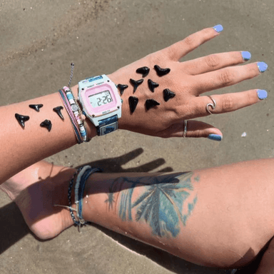 Freestyle Shark Classic Clip - Sage Blue Sage Palm - Freestyle