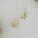 Glee Starry Seashell Earrings - Glee