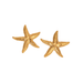 Liv Bella Vita Lucia Starfish Textured Stud - Liv Bella Vita