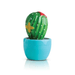 Nora Fleming Can't Touch This Cactus Mini - Nora Fleming