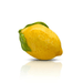 Nora Fleming Lemon Squeeze Mini - Nora Fleming