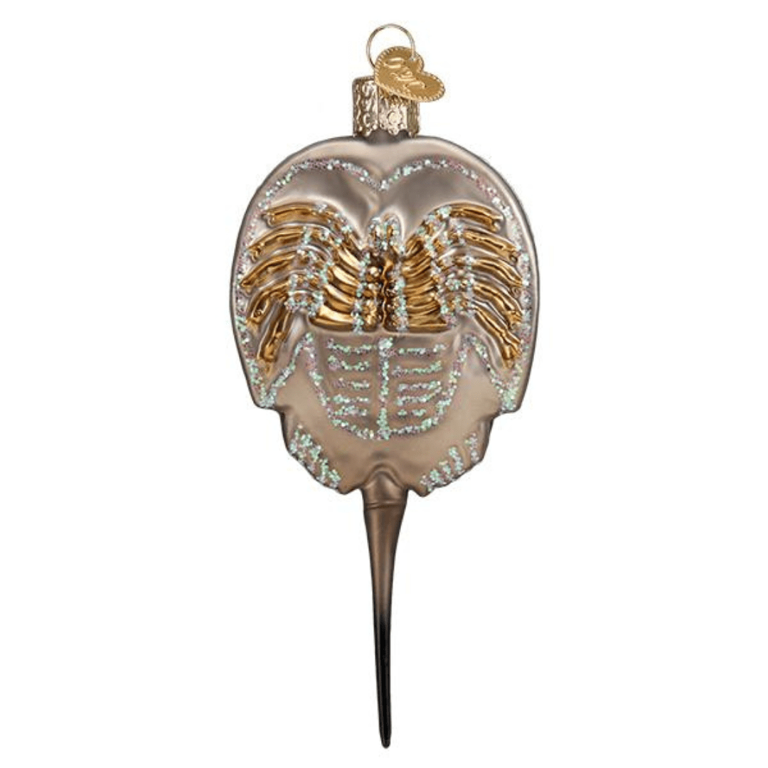 Old World Christmas Horseshoe Crab Ornament - Old World Christmas
