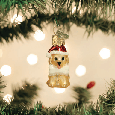 Old World Christmas Mini Jolly Pup Ornament - Old World Christmas