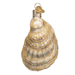 Old World Christmas Oyster w/ Pearl Ornament - Old World Christmas