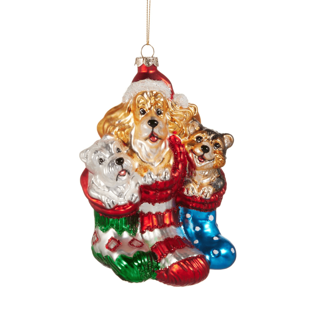 Raz Dogs in Stocking Ornament - Raz Imports, Inc.
