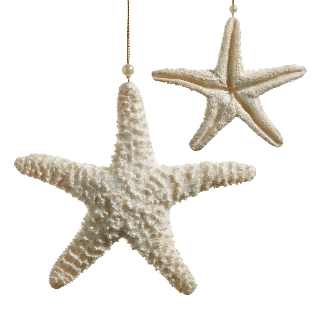 Raz Ivory Glitter Starfish Ornament - Raz Imports, Inc.
