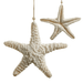 Raz Ivory Glitter Starfish Ornament - Raz Imports, Inc.