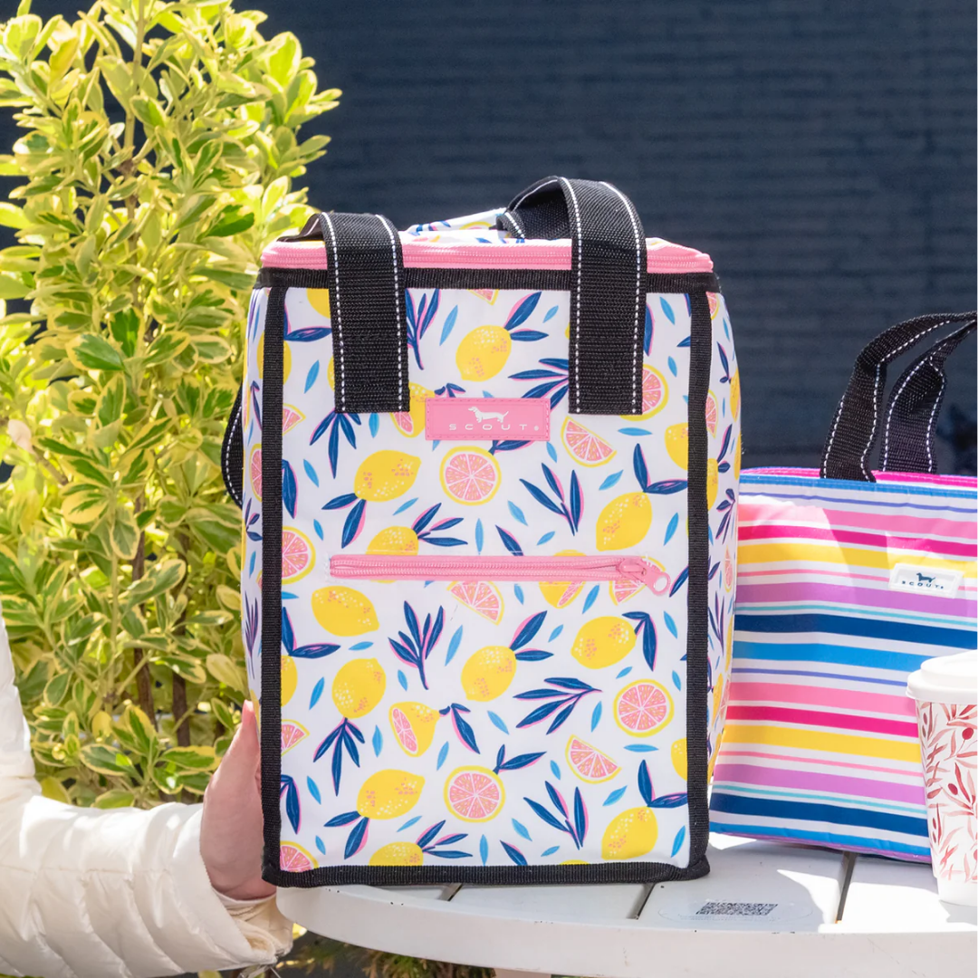 Scout Pleasure Chest Cooler - Scout by Bungalow