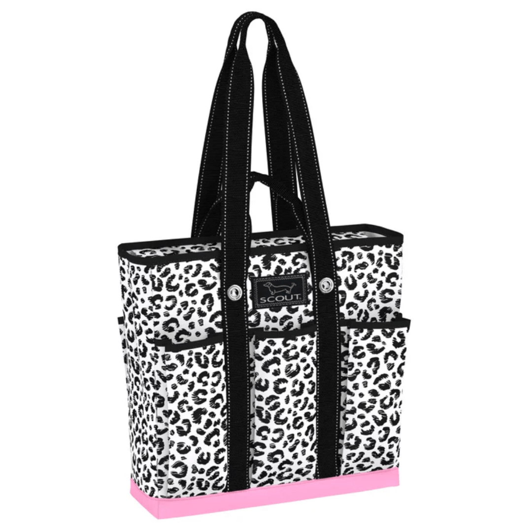 Scout Pocket Rocket - Cat Skills - Scout by Bungalow