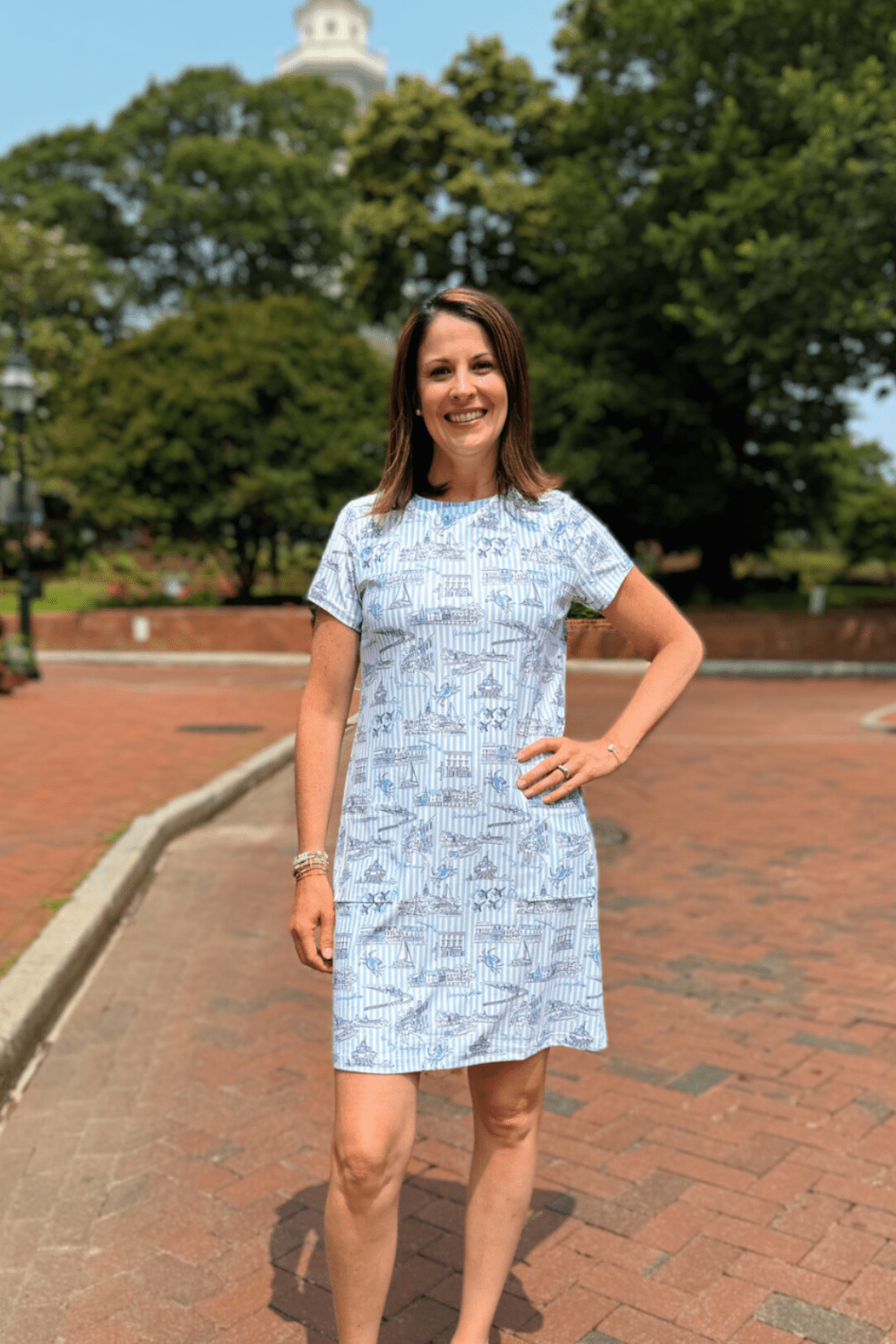 Smith & Quinn Sierra Dress - Blue Annapolitan - Smith & Quinn