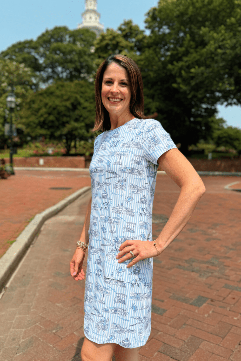 Smith & Quinn Sierra Dress - Blue Annapolitan - Smith & Quinn