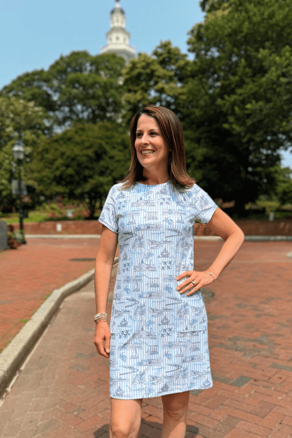 Smith & Quinn Sierra Dress - Blue Annapolitan - Smith & Quinn