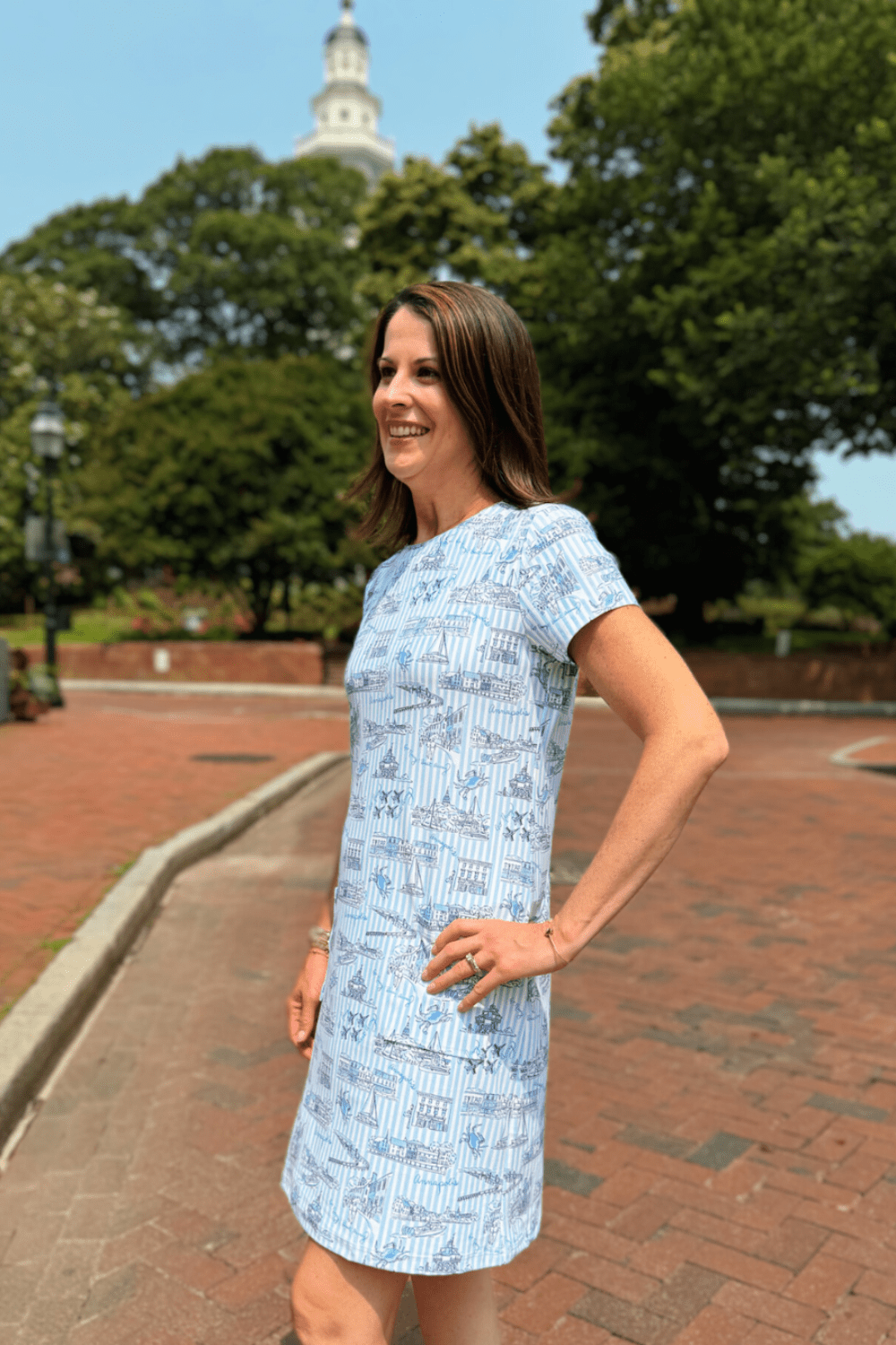 Smith & Quinn Sierra Dress - Blue Annapolitan - Smith & Quinn