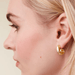 Spartina Nautilus Earrings - Gold - Spartina