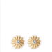 Spartina Sea La Vie Celebrate Stud Earrings - Spartina