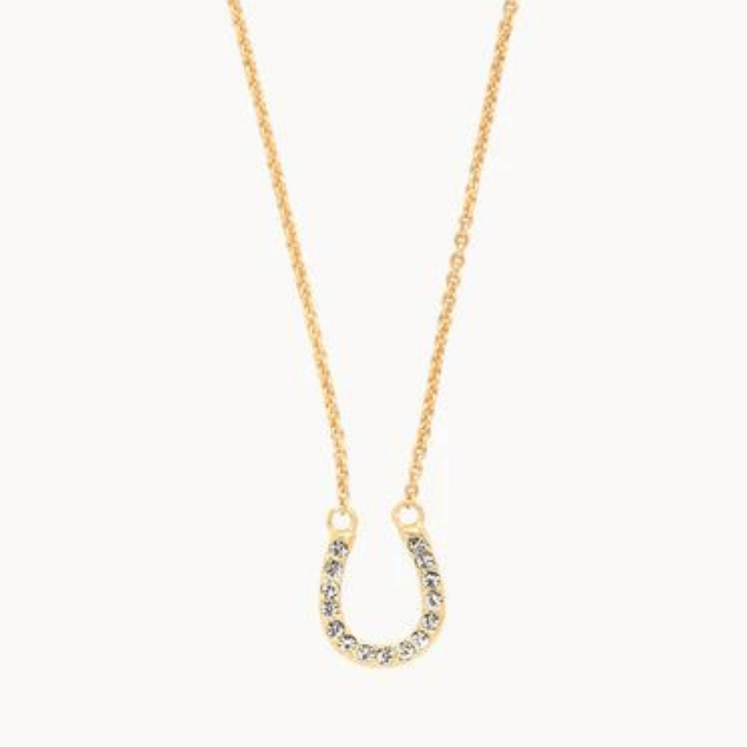 Spartina Sea La Vie Horseshoe Necklace - Spartina