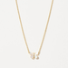 Spartina Sea La Vie Mother - of - Pearl Butterfly Necklace - Spartina