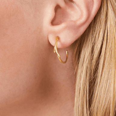 Spartina Splash Sea Coral Hoop Earrings - Spartina