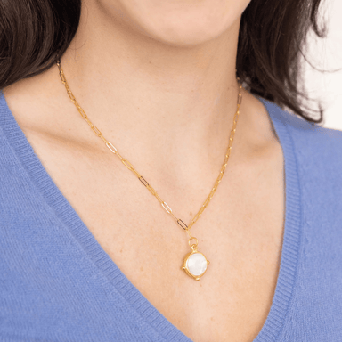 Susan Shaw Mother of Pearl Round on Paperclip Necklace - Susan Shaw