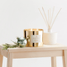 Thymes Frasier Fir Gold 3 - Wick Candle - Thymes