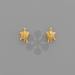 Turtle Studs - Golden Stella