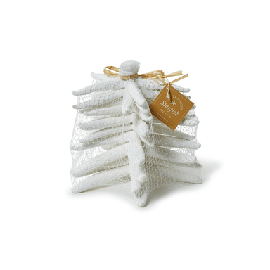 Two's Company White Finger Starfish in Mesh Bag - Two's Company