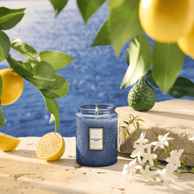 Voluspa Mediterranean Lemon 5.5oz Candle - Small Jar - Voluspa