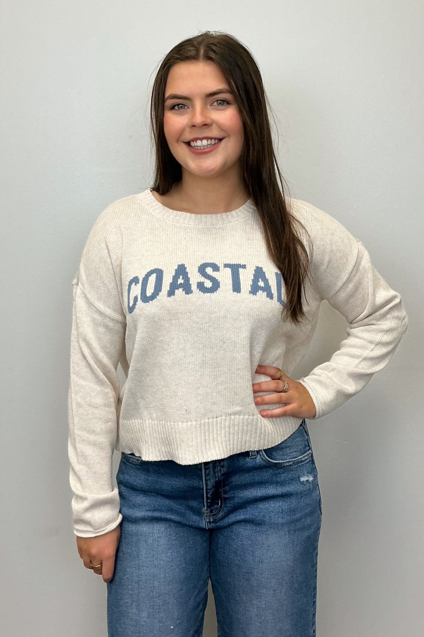 Z Supply Sienna Coastal Sweater - Z Supply